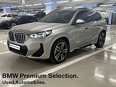 X1 xDrive 20i M Spt_P2