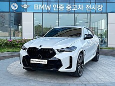 X6 M60i xDrive Pro LCI_P3