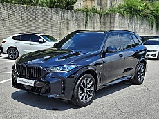 X5 xDrive 30d M Spt