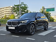 X1 xDrive 20i M Spt