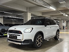 Countryman S ALL4_Favoured