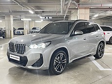 X1 xDrive 20i M Spt