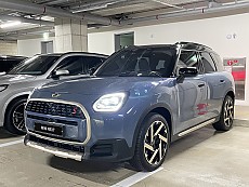 Countryman S ALL4_Favoured