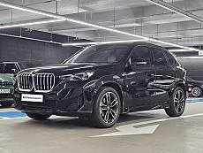 X1 xDrive 20i M Spt