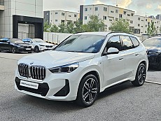X1 xDrive 20i M Spt