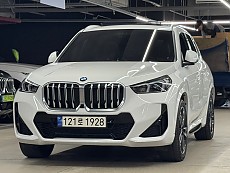 BMW X1 xDrive 20i Mspt