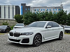 530i xDrive M Spt