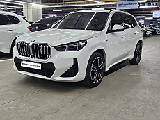 X1 xDrive 20i M Spt