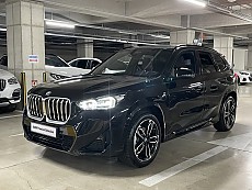 X1 xDrive 20i M Spt_P1