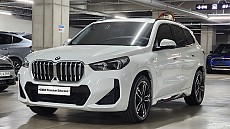 X1 xDrive 20i M Spt_P1
