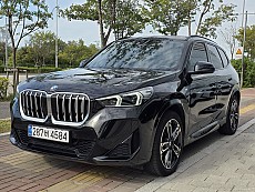 X1 xDrive 20i M Spt_P1