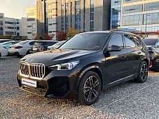X1 xDrive 20i M Spt_P1