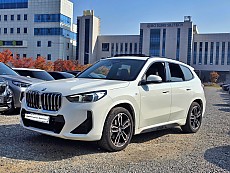 X1 xDrive 20i M Spt_P1