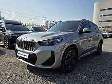 X1 xDrive 20i M Spt