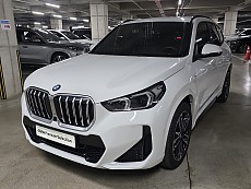 X1 xDrive 20i M SPT