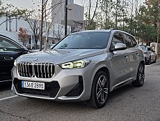 X1 xDrive 20i M Spt_P1