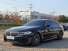 520i M Spt
