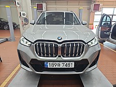X1 xDrive 20i M Spt_P1