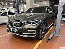 X5 xDrive 30d xLine 7인승