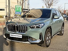 X1 xDrive 20i xLine_P1