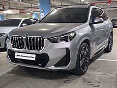 X1 xDrive 20i M Spt