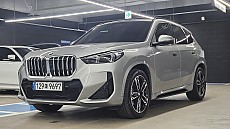 X1 xDrive 20i M Spt