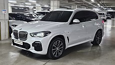 X5 xDrive 30d M Spt
