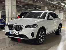 X4 xDrive 20i xLine LCI